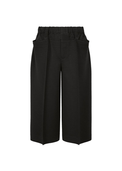 HORIZON PLEATS 1 PANTS