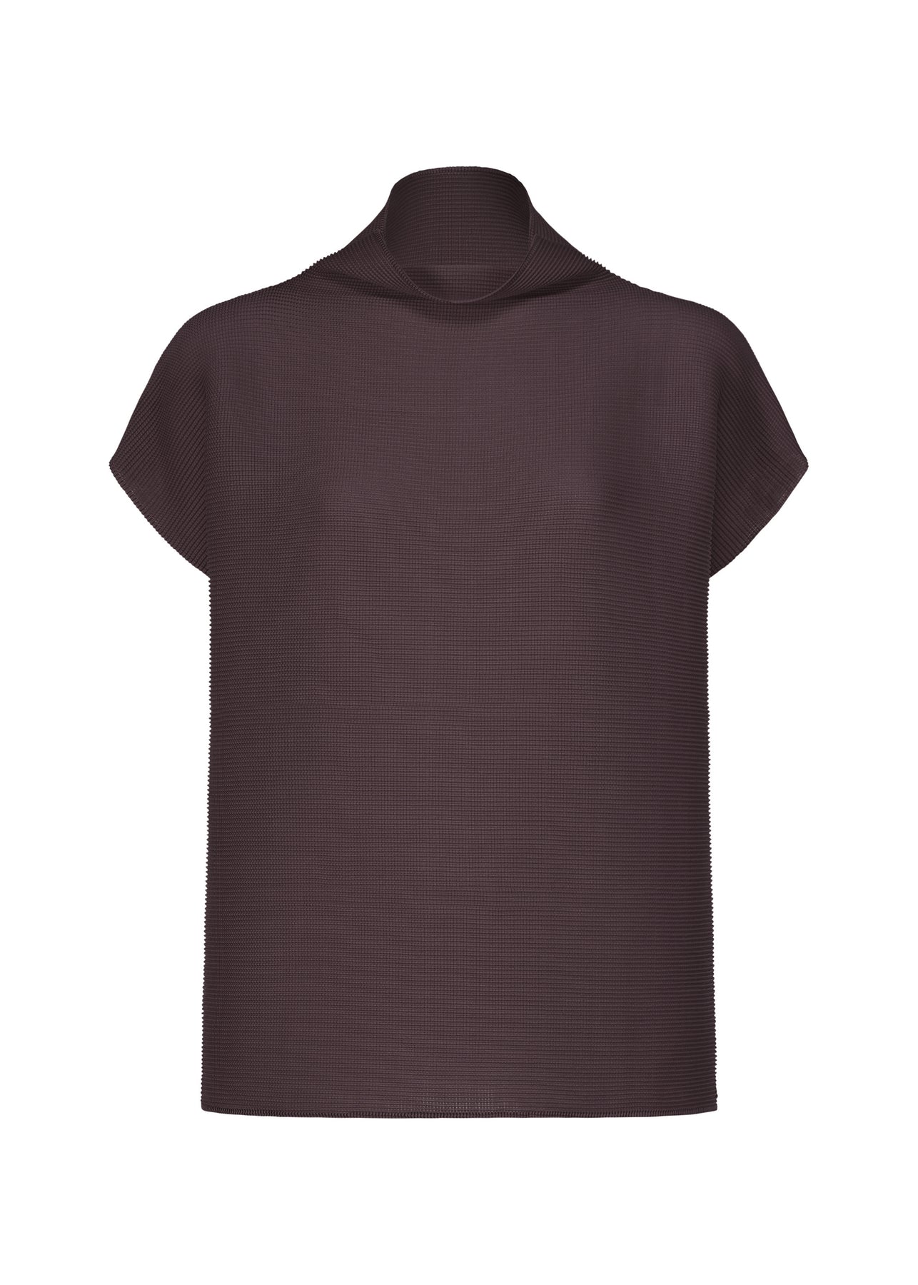 SQUARE STRETCH PLEATS TOP | The official ISSEY MIYAKE ONLINE STORE 