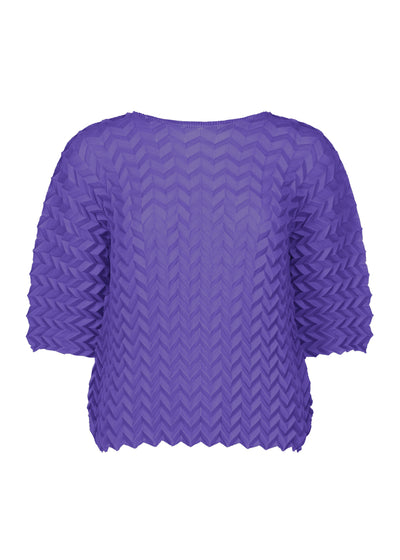 ZIG ZAG PLEATS TOP